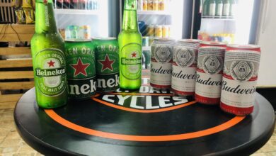 Heineken ou Budweiser Adega São Paulo